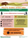 Peste suina africana