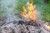Indicazioni per la combustione controllata dei residui vegetali