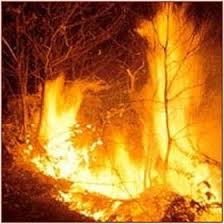 Grave pericolo incendi boschivi