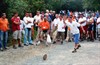Lanciatore su Strada