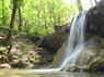 Gruppo Naturalistico Bucamante